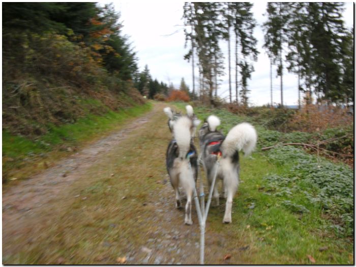 Tour Odenwald 103.jpg